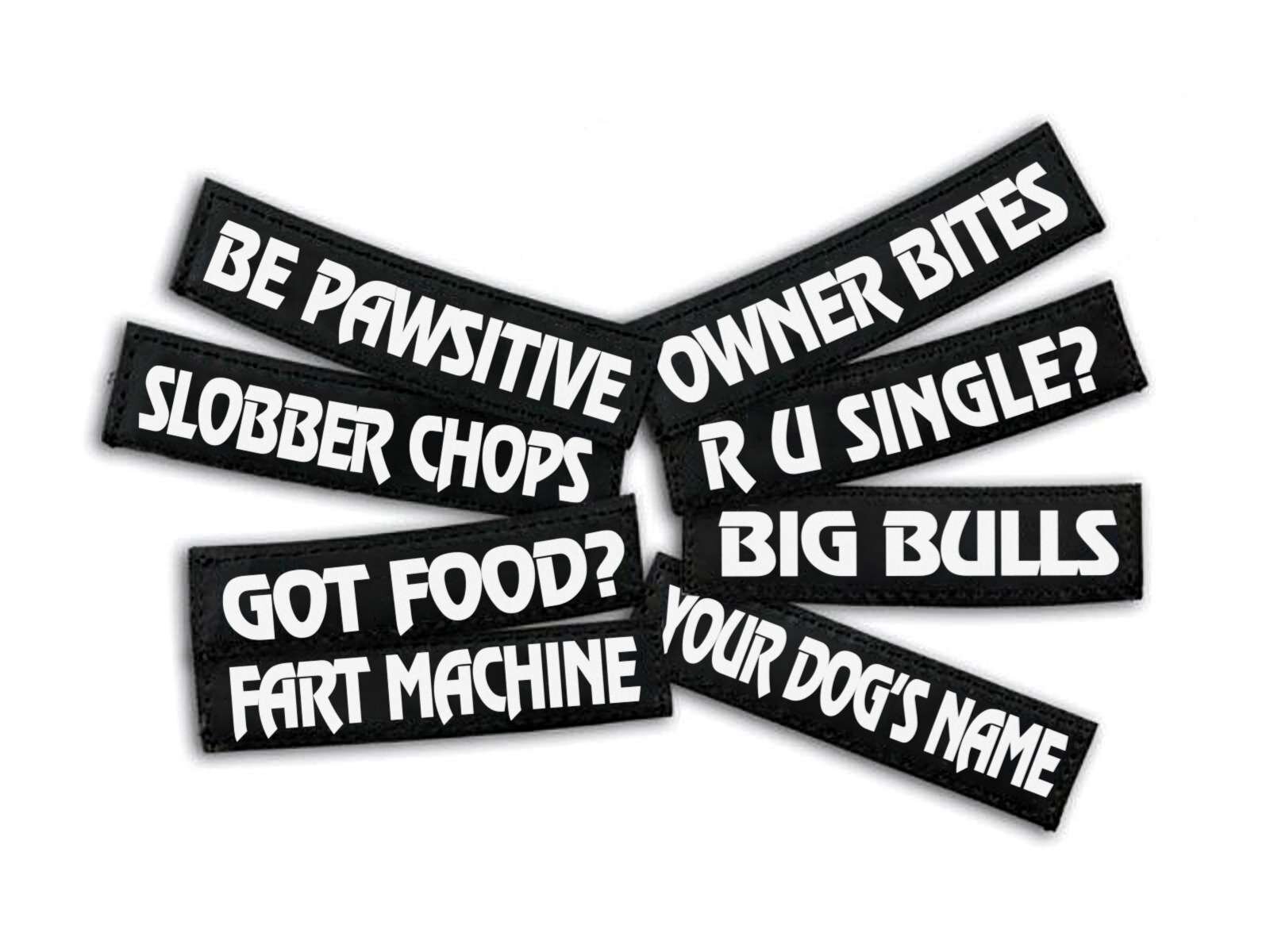 Name Patch Dog Collars Leads Harnesses Harnesses Pet Shop Auckland Pet.kiwi Julius K9