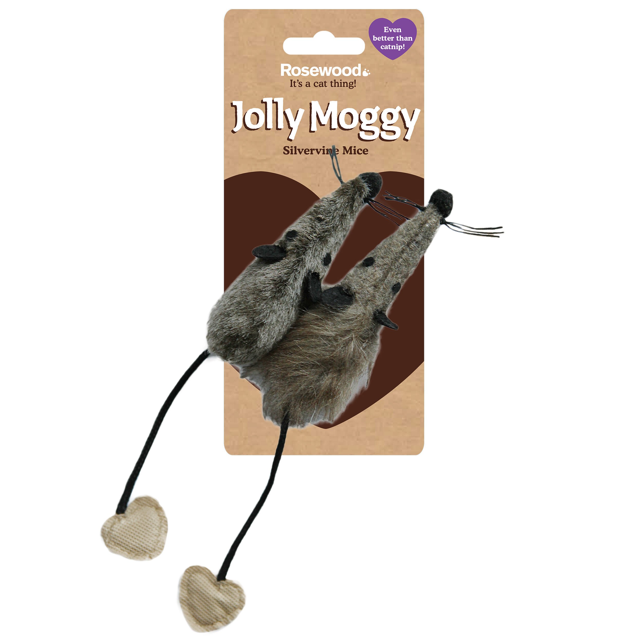 rosewood jolly moggy