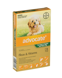 Advocate Small Dog Under 4kg Dog Flea Worm Flea Treatments Pet Shop Auckland Pet.kiwi Advocate