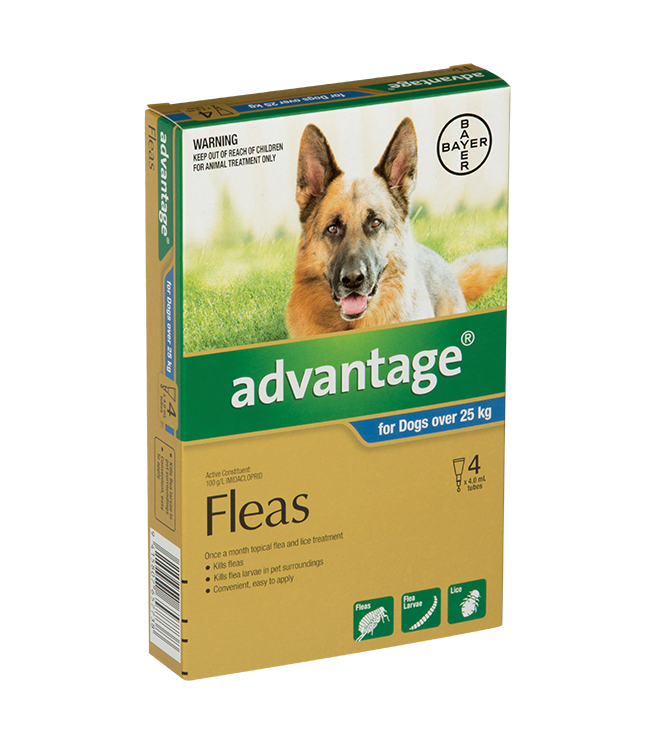 Extra large dog flea treatment sale