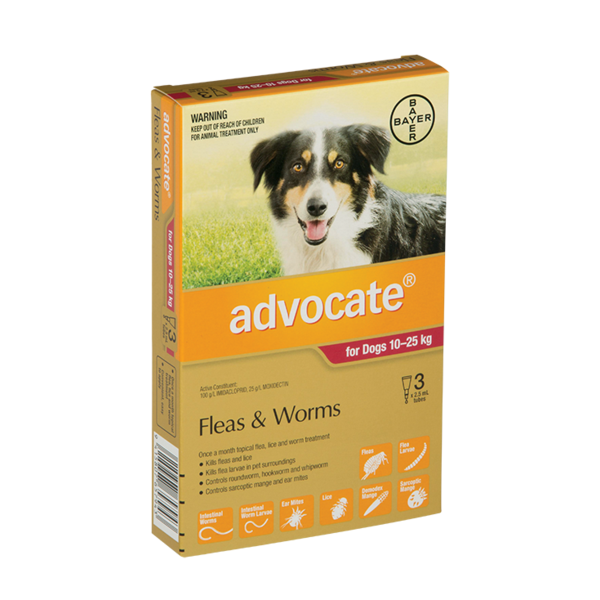 Advocate Large Dog 10 25kg Dog Flea Worm Flea Treatments Pet Shop Auckland Pet.kiwi Advocate