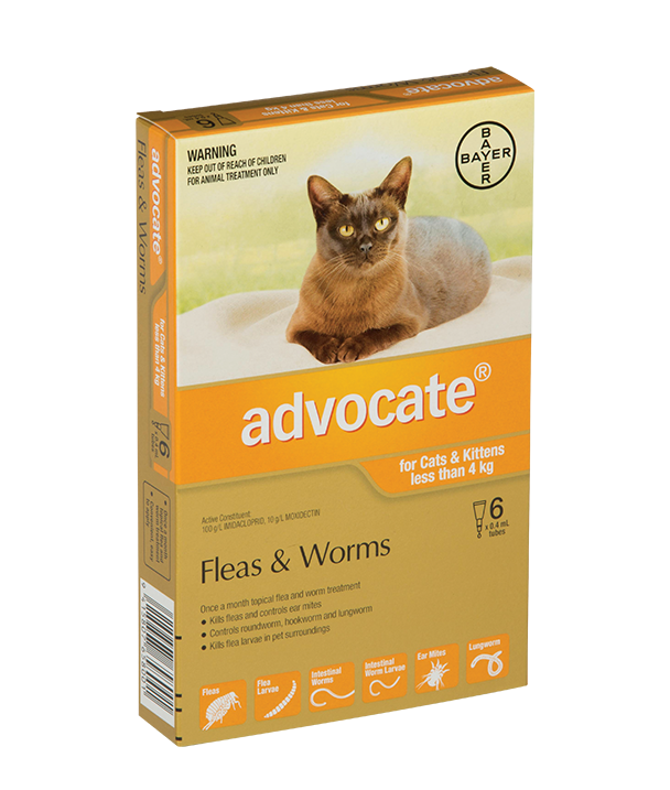 Advocate Cat Under 4kg 6 Pack - Cat-Flea & Worm-Flea Treatments : Pet ...