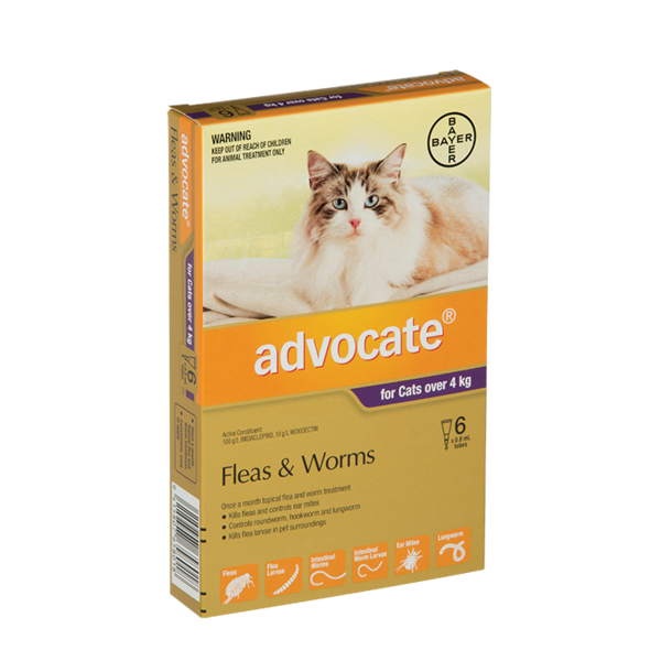 Advocate shop cat treatment