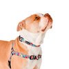 Tropicool Dog Front Clip Harness