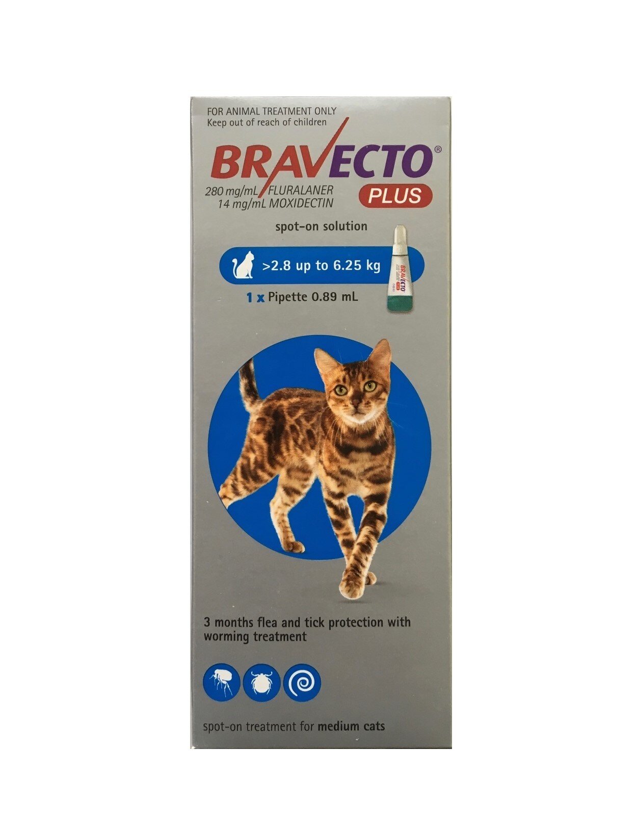 Bravecto best sale medium cat