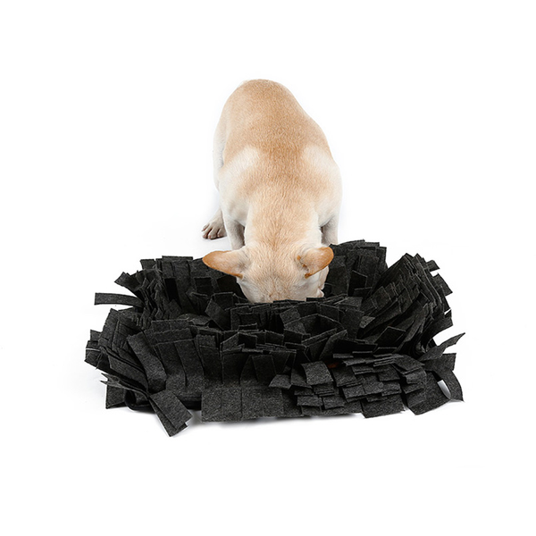 Snuffle Mat Dog Toys Interactive Pet Shop Auckland Petkiwi