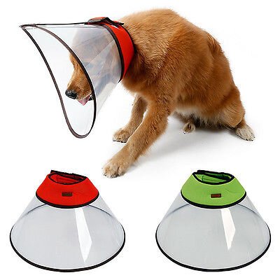 Elizabethan Collar for Large Breeds - Dog-Collars, Leads & Harnesses ...