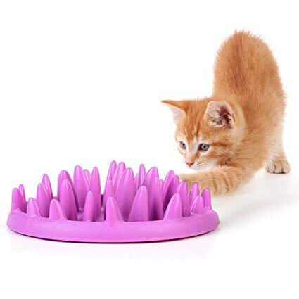 cat catch interactive feeding bowl