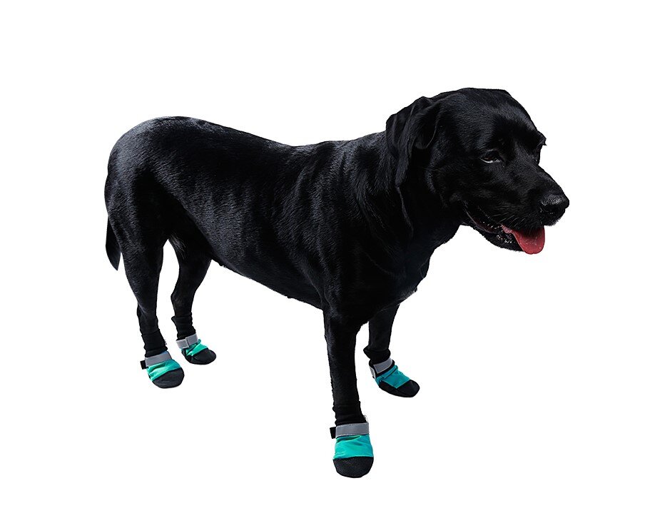 waterproof dog shoes