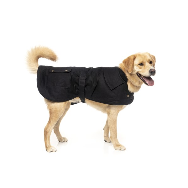 Oilskin Coat DogClothingJackets Pet Shop Auckland Pet.kiwi Kazoo