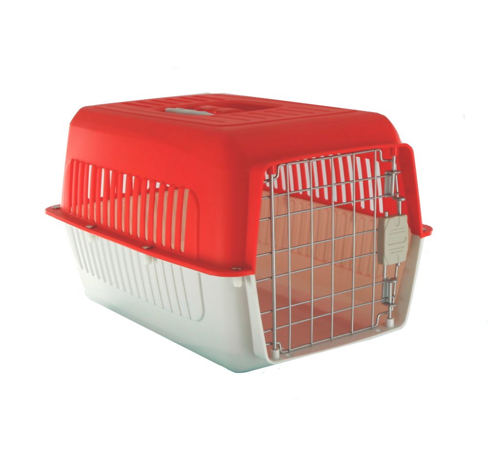 Two dog outlet carrier