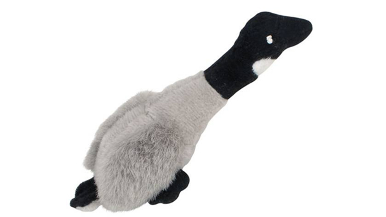 dog toys canada