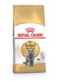 British Shorthair Cat Food