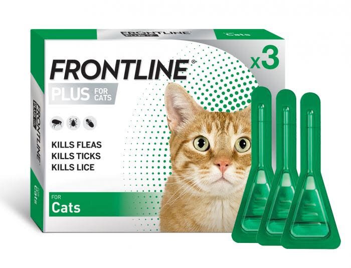 Frontline worm 2025 and flea treatment