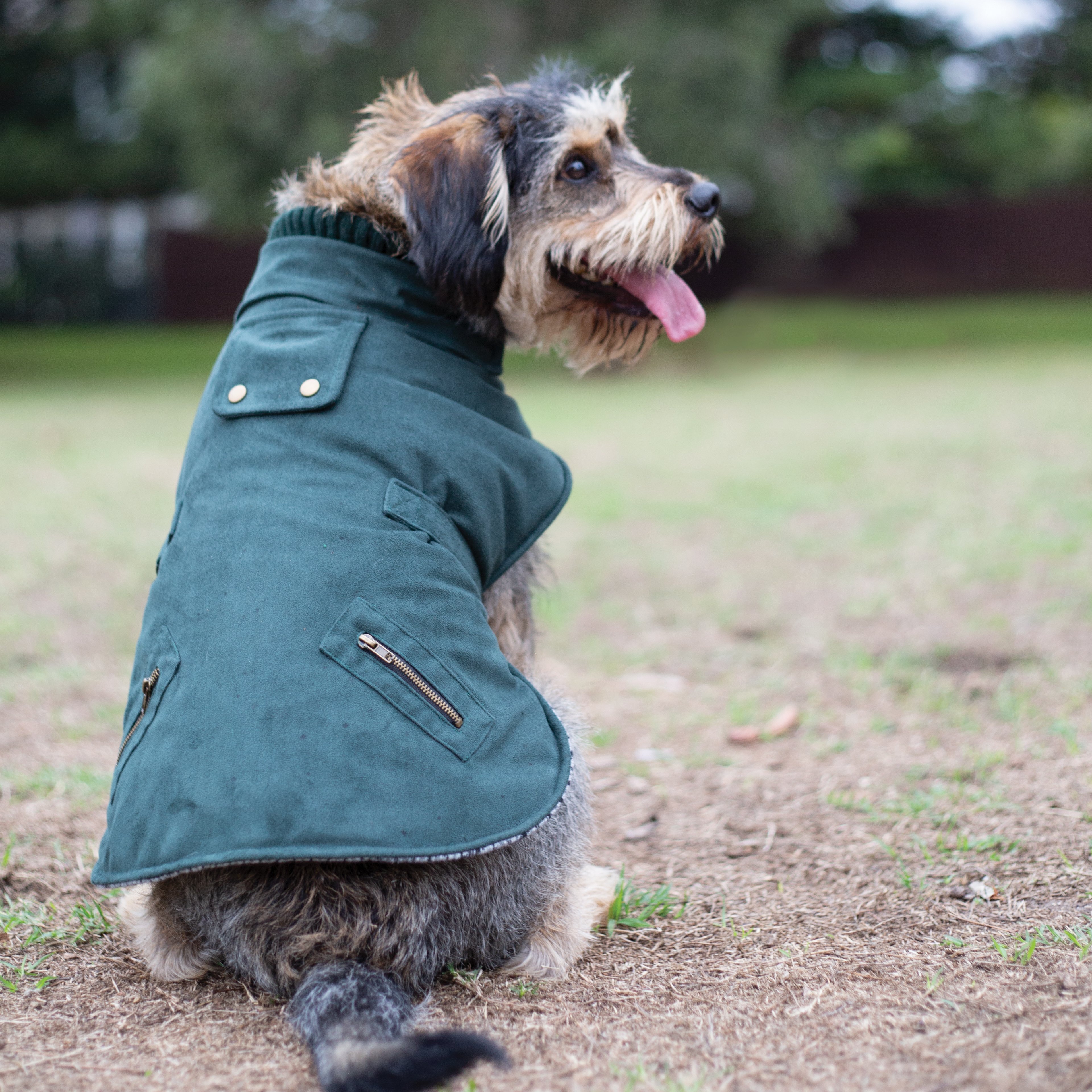 kazoo coat