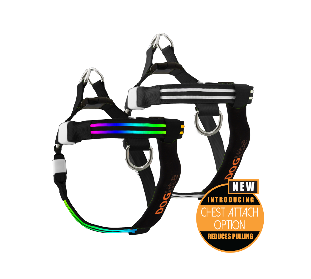 Chest led dog clearance harness