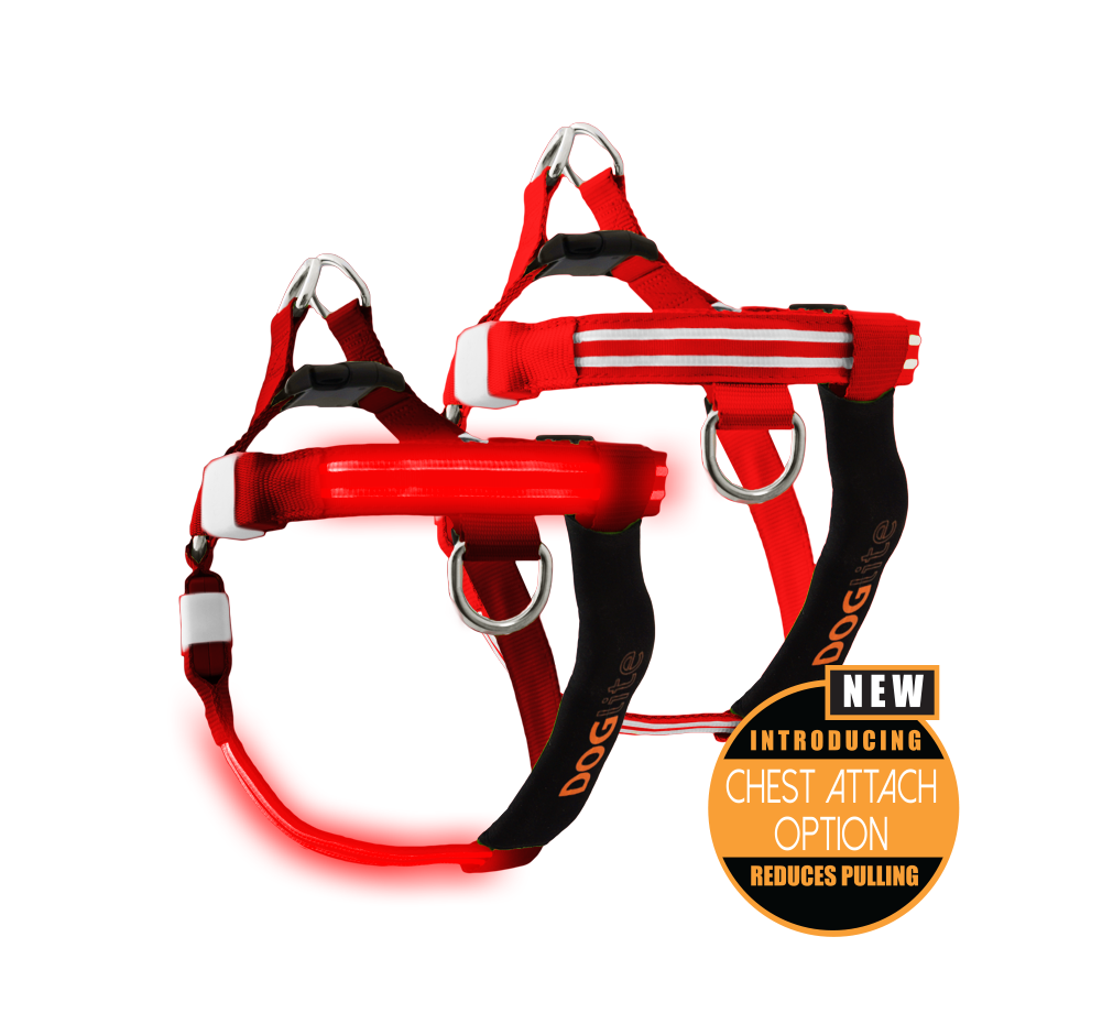 Chest led 2024 dog harness