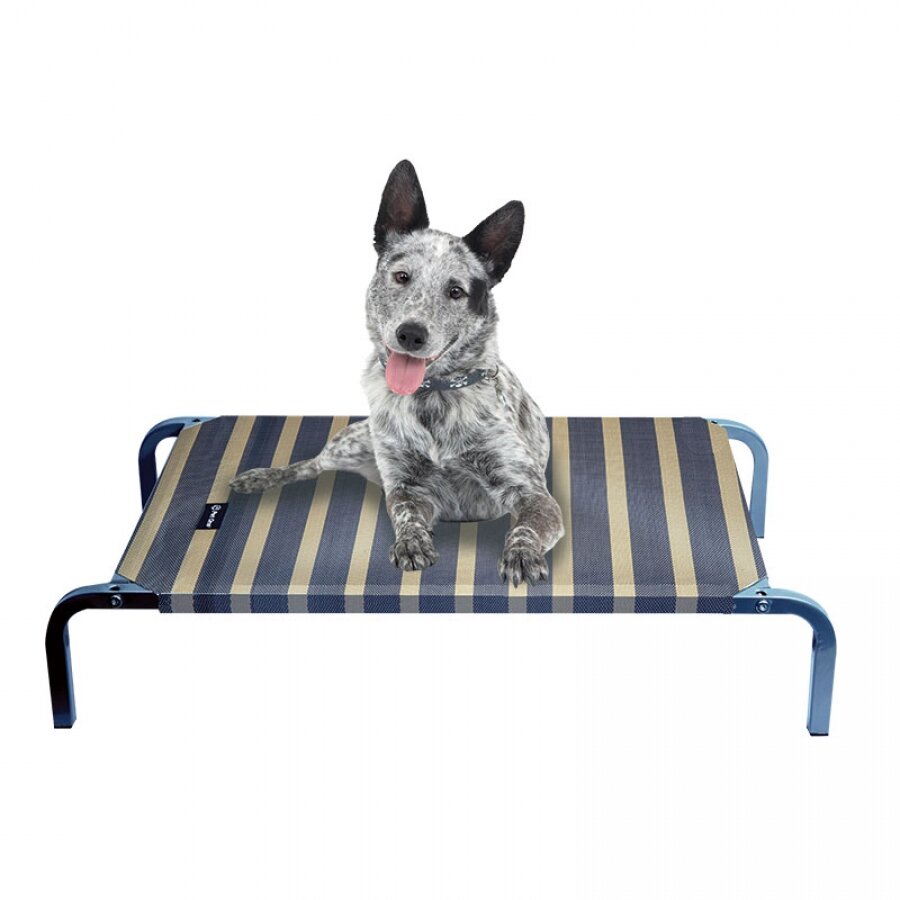 Leisure Raised Dog Bed DogBeds & HousesBeds Pet Shop Auckland