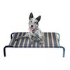 Leisure Raised Dog Bed