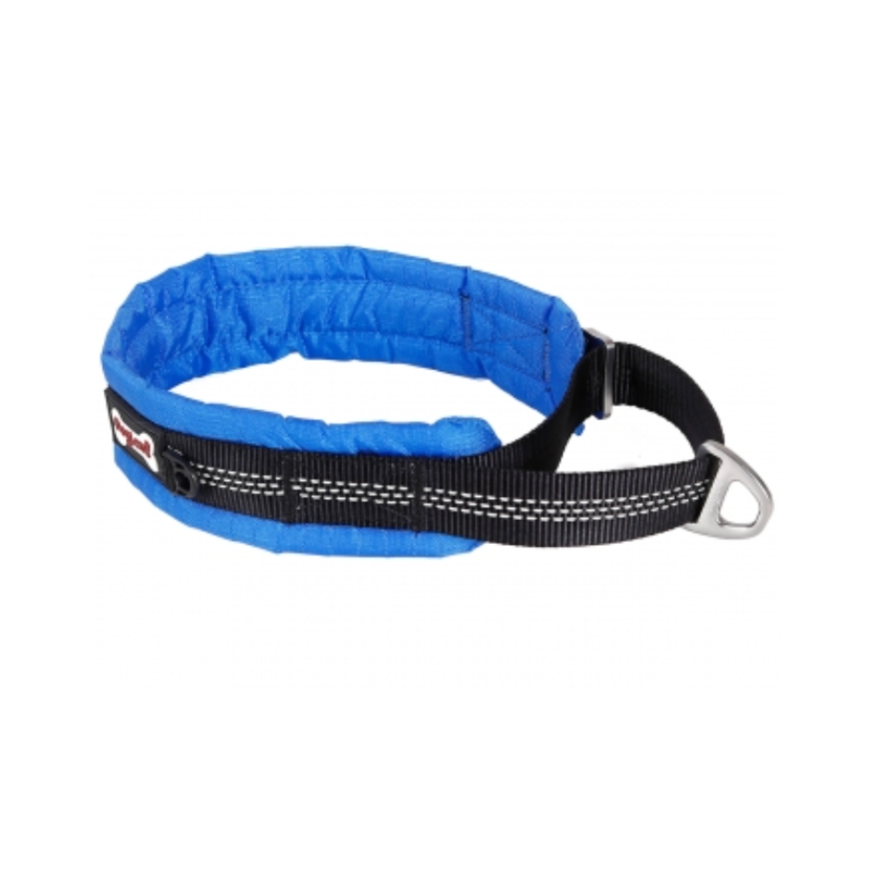 Padded top martingale collar