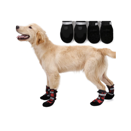 Dog on sale booties kmart