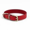 Fenesco Leather Collar - Int-Small