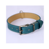 Boston Coloured Leather Collar