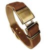 Bronze Adjustable Leather Collar