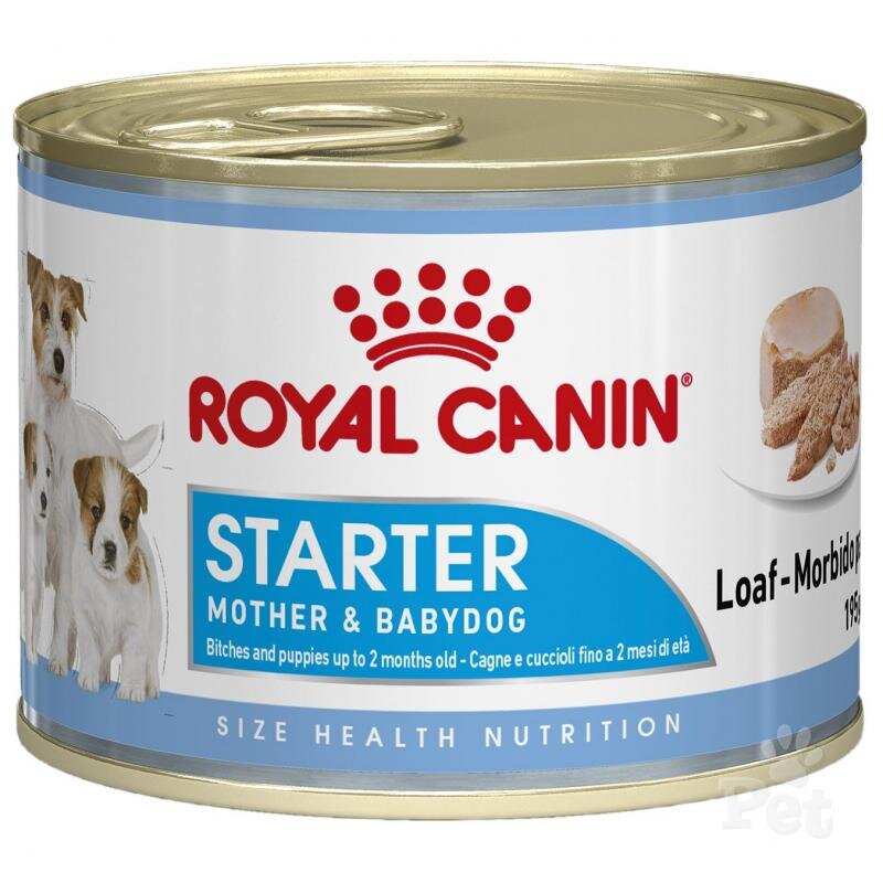 Royal canin starter mousse best sale feeding guide