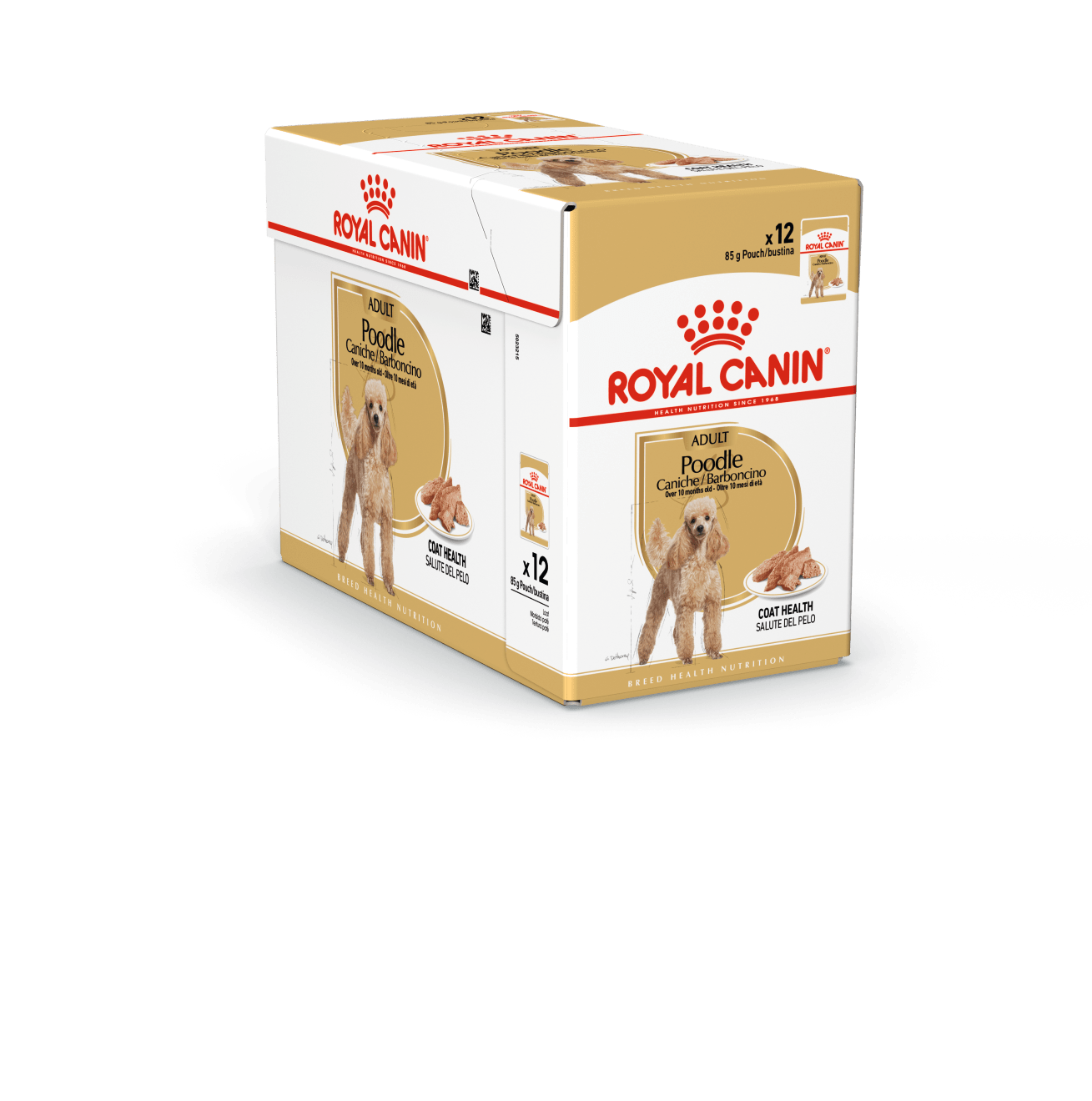 royal canin poodle caniche barboncino