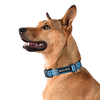 Lochie Dog Collar