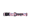 Lottie Dog Collar