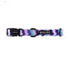 Sulley Dog Collar