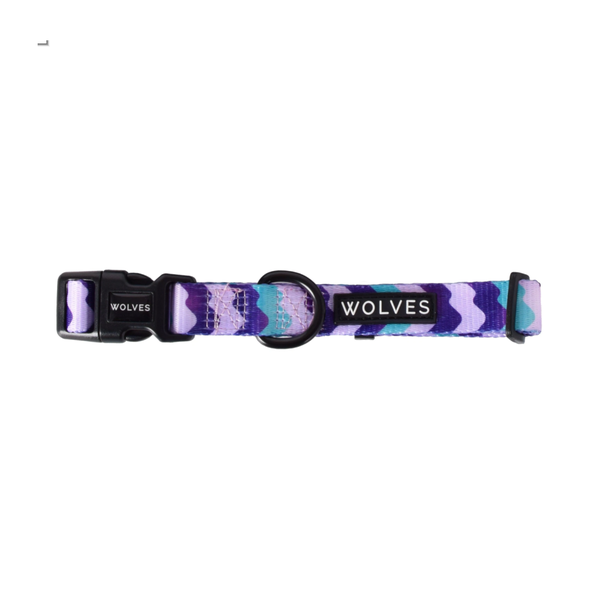 Sulley Dog Collar