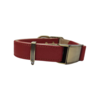 Bronze Adjustable Leather Collar