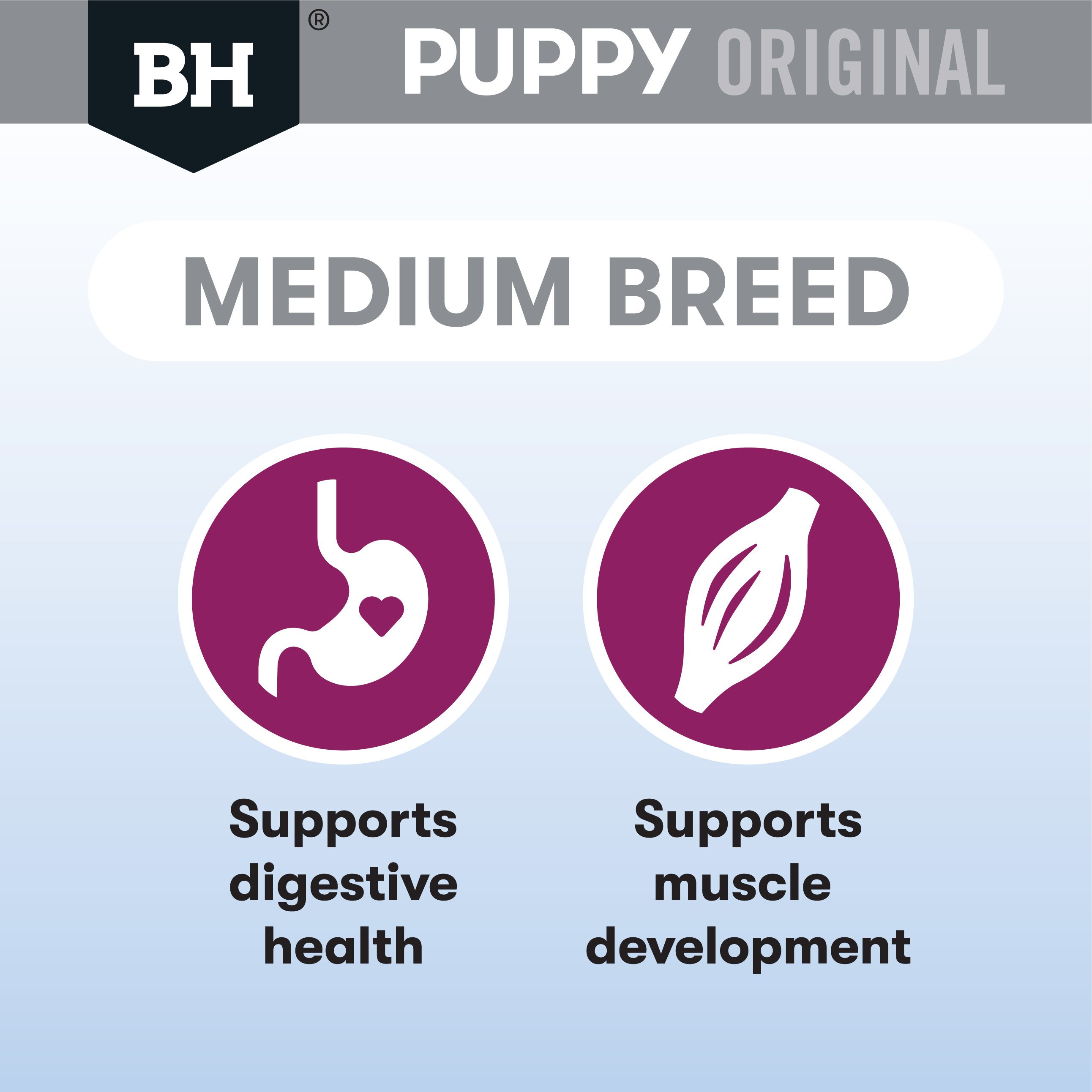 Blackhawk puppy food feeding 2024 guide