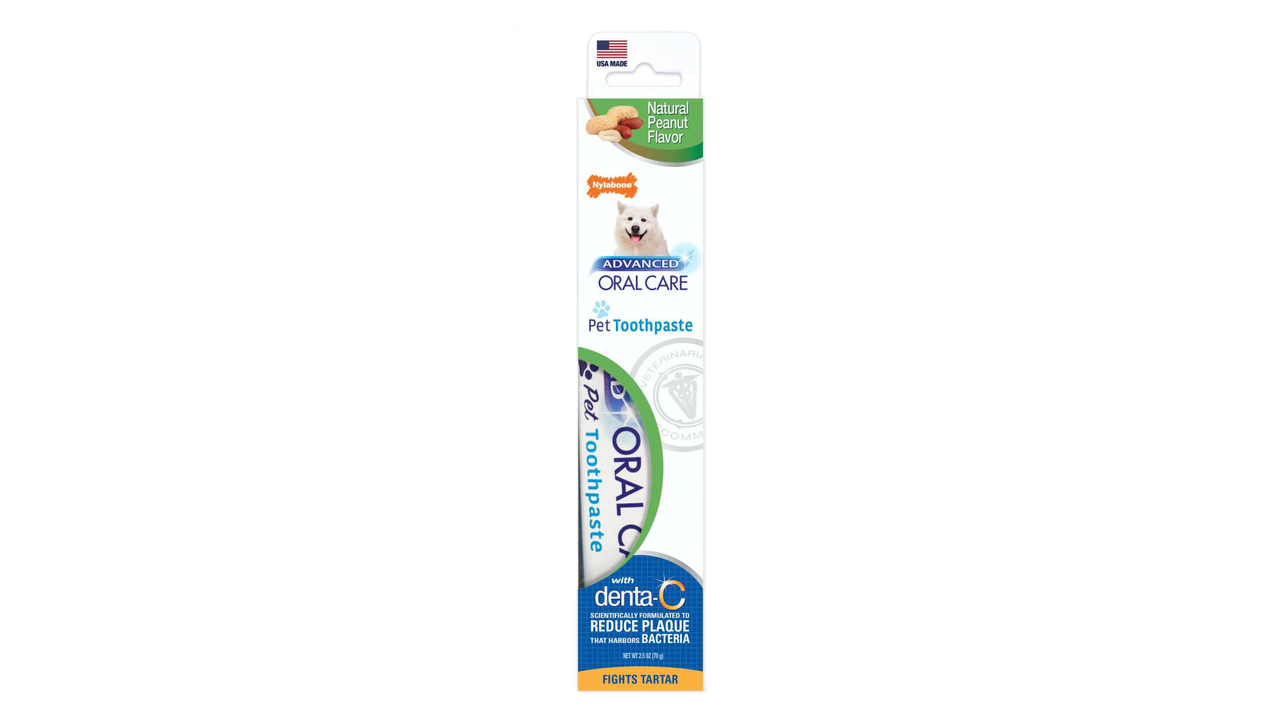 Nylabone dog outlet toothpaste