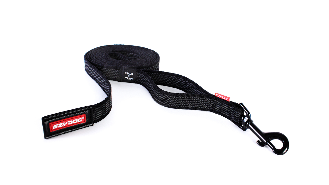 5m dog outlet leash