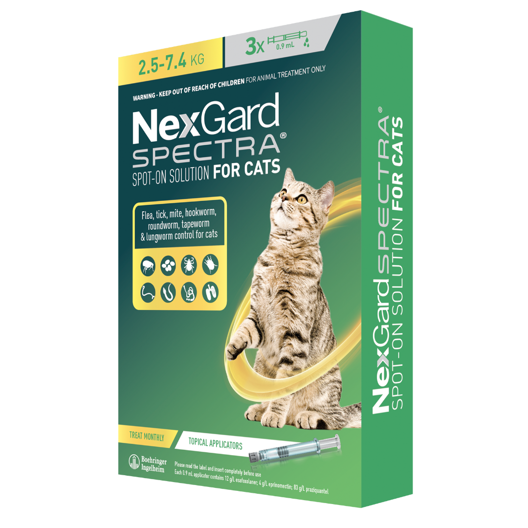 Nexgard flea and outlet worm