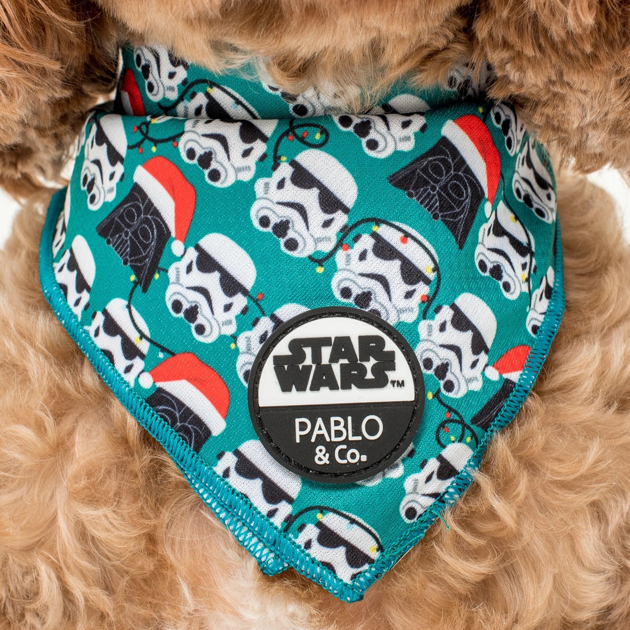 Pablo best sale dog bandana