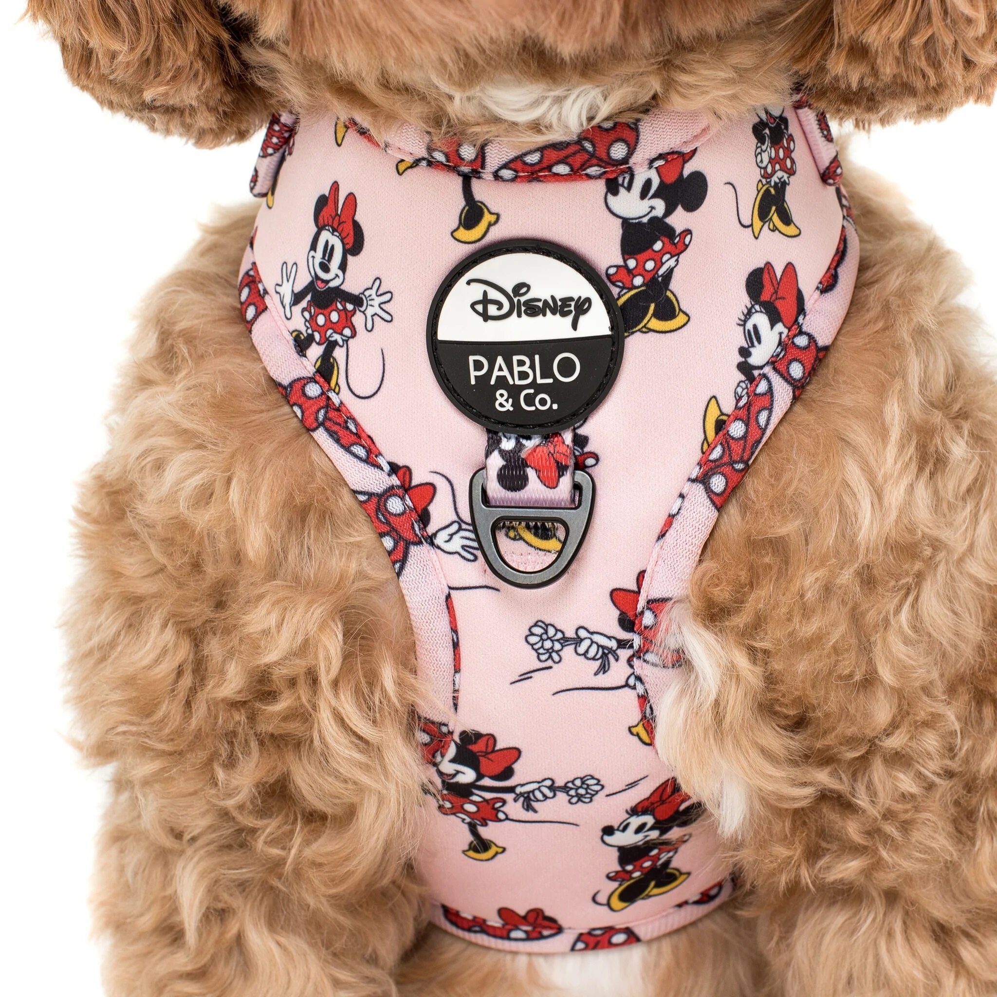 Minnie Mouse Flowers Adjustable Harness Dog Collars Leads