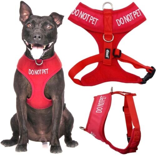 Do Not Pet Vest Harness Dog Collars Leads Harnesses Harnesses Pet Shop Auckland Pet.kiwi Friendly Dog Collars