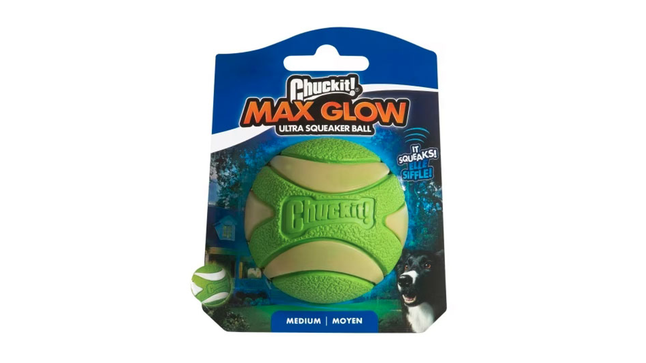 Chuckit squeaker 2024 ball medium