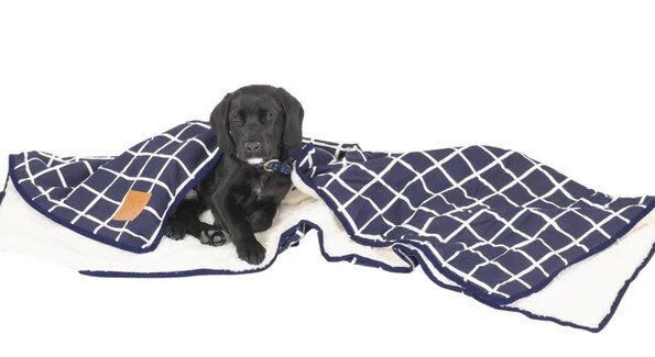 Dog Fleece Blanket Dog Beds Houses Beds Pet Shop Auckland Pet.kiwi Mog Bone