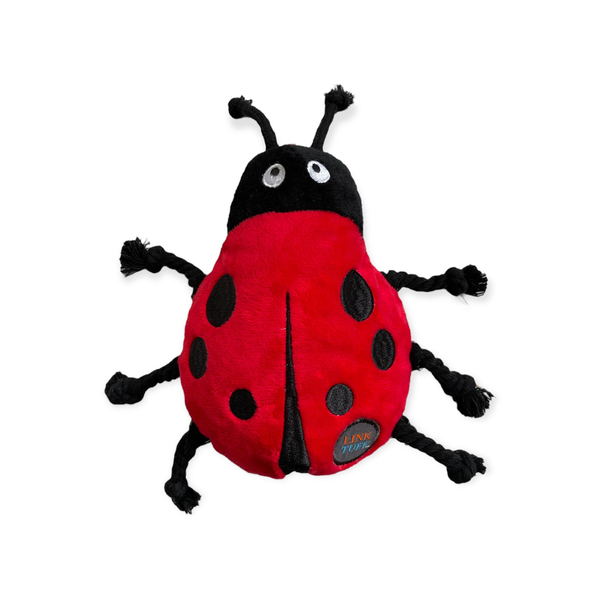 Ladybug