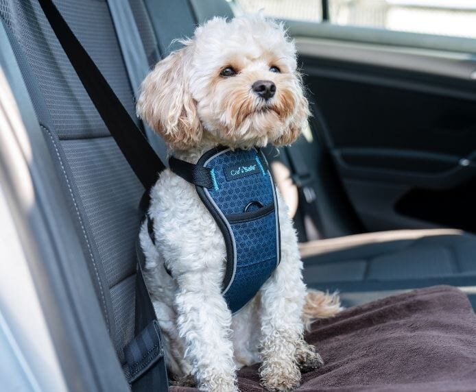 CarSafe Crash Tested Dog Harness Dog Collars Leads Harnesses Harnesses Pet Shop Auckland Pet.kiwi CarSafe