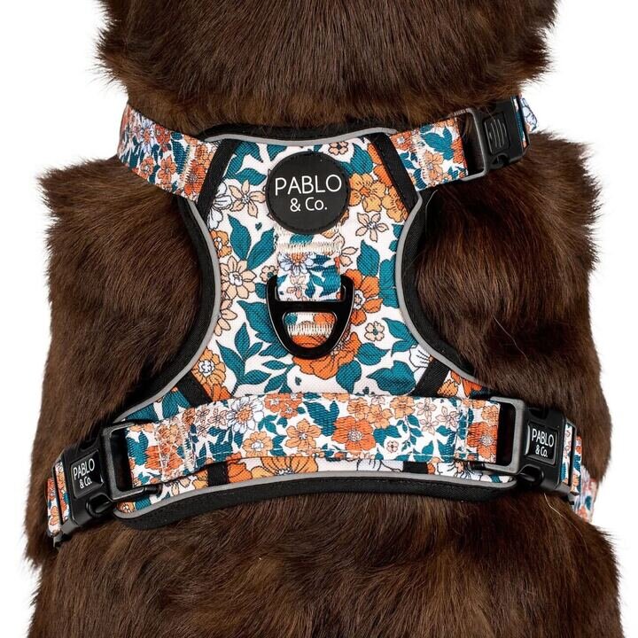 Shop Adventure Dog Harness