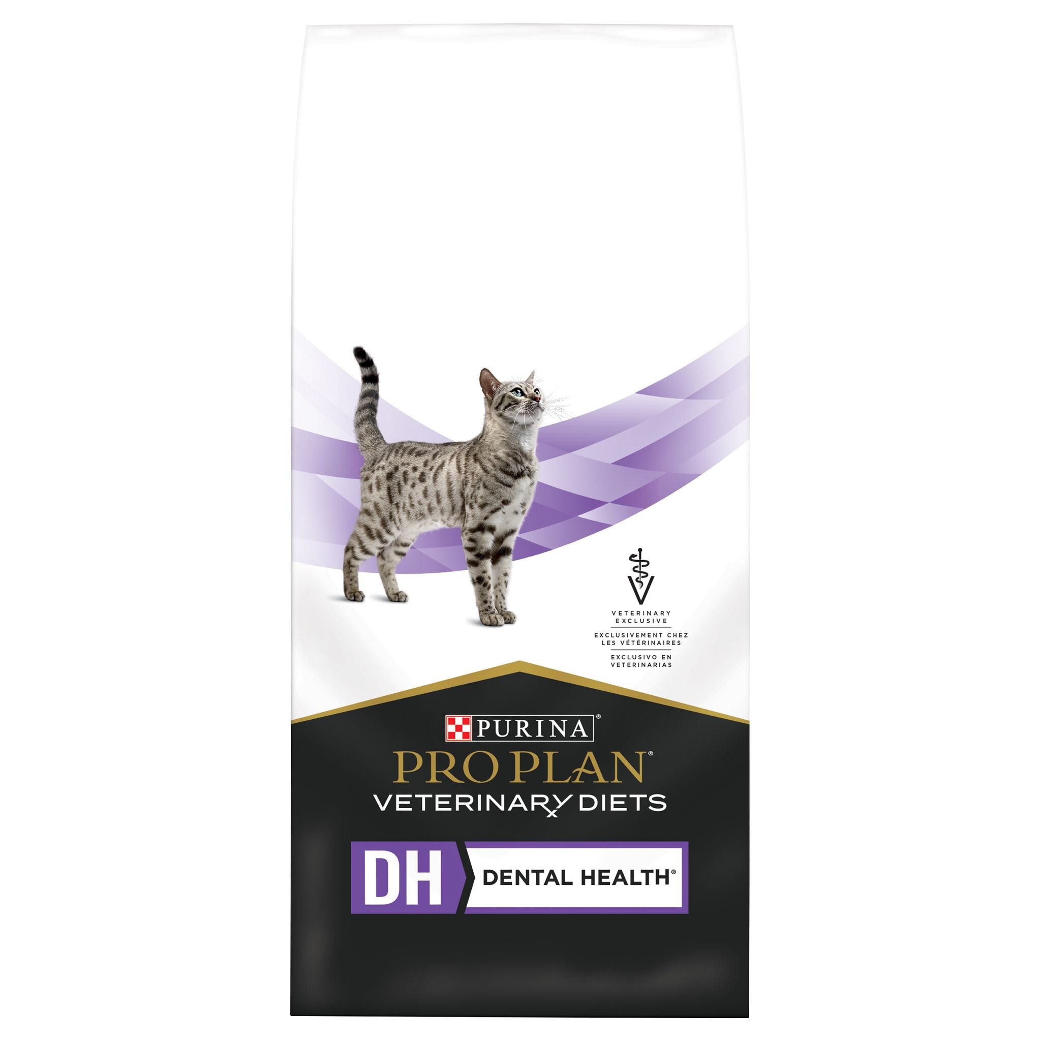 Healthy cat diet plan best sale