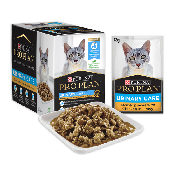 ProPlan Adult Cat Urinary Tract Health Chicken Wet Food