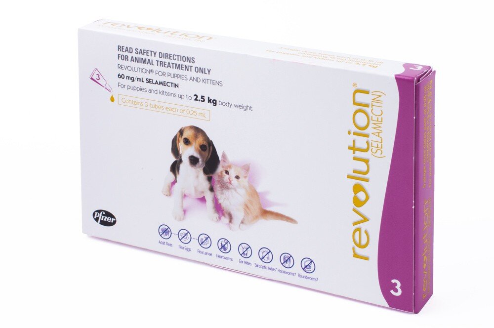 Revolution flea medicine for hot sale kittens